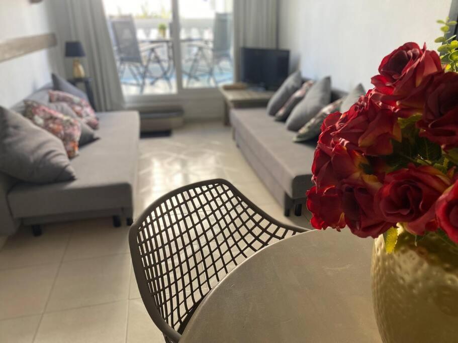 Apartamento Europa Con Terraza Blanes Exterior photo